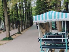 -泗洪洪泽湖湿地景区