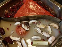 -蜀九香火锅(彩虹店)