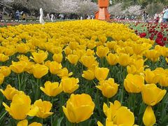 -苏州上方山国家森林公园