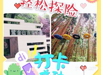 哈哈哈，终于找到一家超级好玩的探险公园  孩子的精神