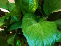 -上康中医脊椎理疗馆