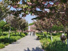 -古柏渡飞黄旅游区