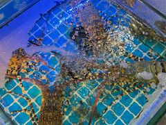 -龙图阁海鲜饭店