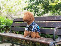 -杭州半山国家森林公园