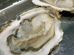 蒜蓉烤生蚝-蚝英雄鲜蚝自助专门店(长楹天街直营店)