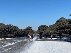 -北陵公园