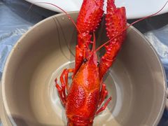 -肥肥虾庄·金牌油焖大虾(东湖欢乐谷店)