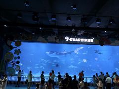 -烟台海昌鲸鲨海洋公园