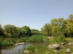 -新江湾城公园