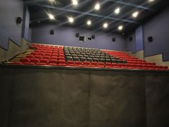 -华谊兄弟影院(IMAX洋桥店)