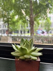 -京都墨客刺青
