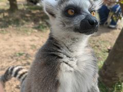 -杭州野生动物世界