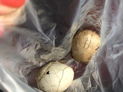 -金盆阿嬷香菇茶叶蛋(玄光店)