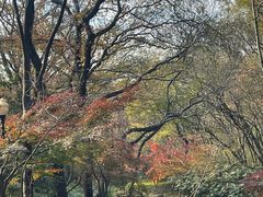 -句容茅山景区
