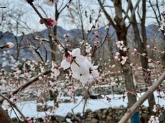 -阳台山自然风景区