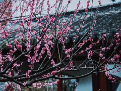 -郭庄景区