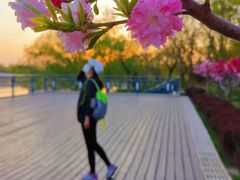 -君乐宝优致牧场