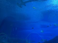 -长隆横琴湾酒店(珠海旗舰店)