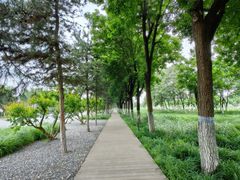 -汉长安城未央宫国家考古遗址公园