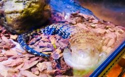 -酷嗒动物文化乐园(cutezoo西溪乐天城店)