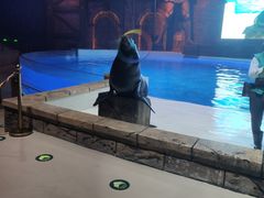 -哈尔滨波塞冬海底世界