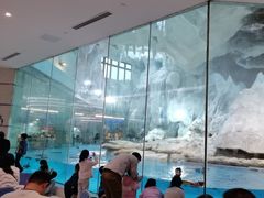 -帝企鹅自助餐厅•儿童岛•真企鹅(长隆企鹅酒店)