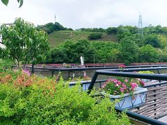 -莫干山风景区