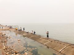 -东疆建设开发纪念公园