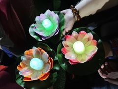 -印象普陀