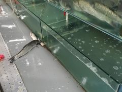 -四道口水产市场