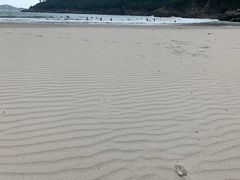 -成记士多(石澳道)