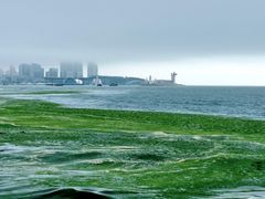 -青岛第三海水浴场