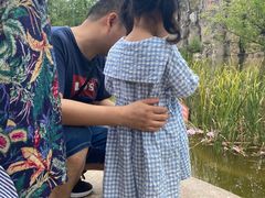 -白鹭湾湿地公园