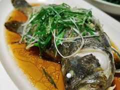 -陶陶居酒家(海岸城店)