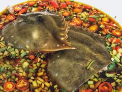 -小郭私房菜·海肠捞饭店(学士街店)