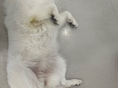 -共舞时光猫咖·狗咖(新街口店)