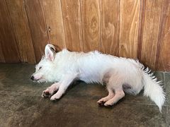-绿房子方寸咖啡(星海名城店)