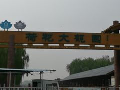 -白洋淀景区