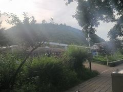 -老三羊汤【北兴隆街店】