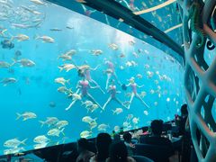 -瑞德姆美人鱼海底演艺主题餐厅(亚龙湾店)