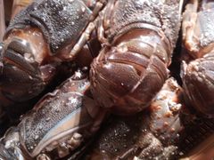 -OPEN開全日自助餐厅·牛肉火锅·海鲜(佛山希尔顿酒店)