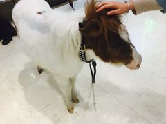 -中影·星感觉激光巨幕影城(博物馆店)