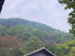 -渣滓洞