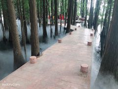 -东湖落雁景区