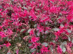 -贵阳市花溪国家城市湿地公园