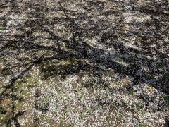 -辽宁省实验学校(赤山校区)