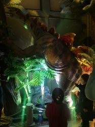 -恐龙探索乐园(磁器口店)