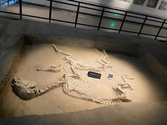 -洛阳周王城天子驾六博物馆