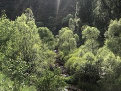 -百里山水画廊乌龙峡谷
