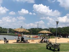 -上海月湖雕塑公园
